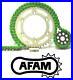 AFAM-Upgrade-Green-Chain-And-Sprocket-Kit-Honda-CBR600F-X-Y-99-00-01-ye