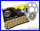 Chain-And-Sprocket-Kit-To-Fit-Honda-Cbr600-F-1987-1990-Triple-S-O-ring-Gold-01-mcdo