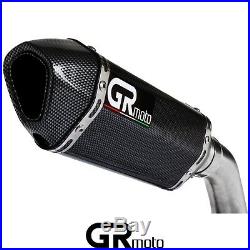 Exhaust for Honda CBR600 F4i 2001 2007 GRmoto Muffler Carbon