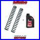 HONDA-CBR600F-2004-MH21-LINEAR-MFORK-0-8-kg-mm-BITUBO-FORK-SPRING-KIT-01-dix